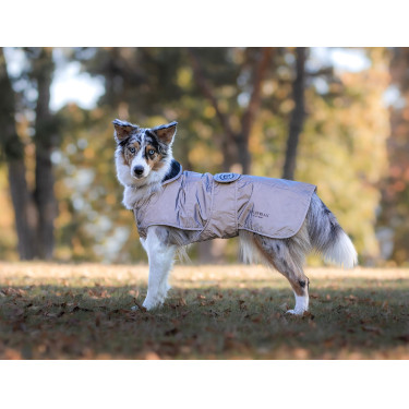 Couverture pour chien Equestrian Stockholm Reflective Noir lumineux