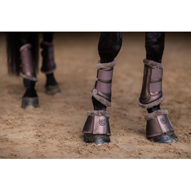 Guêtres de dressage Equestrian Stockholm