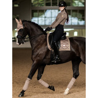 Legging d'équitation Equestrian Stockholm Supreme femme Noir or