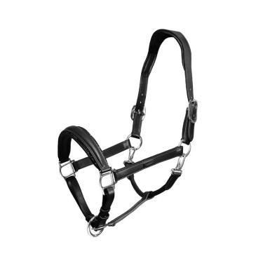 Licol en cuir Equestrian Stockholm anatomic scintillant Noir edition Licol en cuir Equestrian Stockholm anatomic scintillant Noir edition