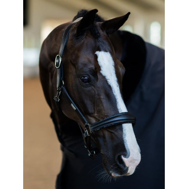 Licol en cuir Equestrian Stockholm anatomic scintillant Noir edition Licol en cuir Equestrian Stockholm anatomic scintillant Noir edition