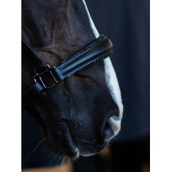 Licol en cuir Equestrian Stockholm anatomic scintillant Noir edition Licol en cuir Equestrian Stockholm anatomic scintillant Noir edition