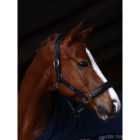 Licol en cuir Equestrian Stockholm anatomic scintillant Full marron