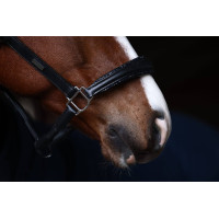 Licol en cuir Equestrian Stockholm anatomic scintillant Full marron