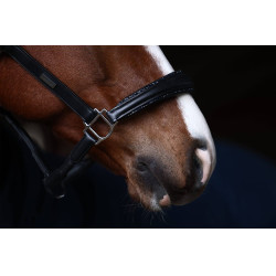 Licol en cuir Equestrian Stockholm anatomic scintillant Prairie bleu