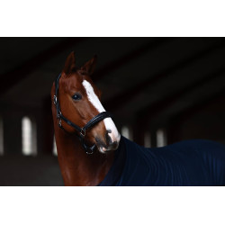 Licol en cuir Equestrian Stockholm anatomic scintillant Prairie bleu