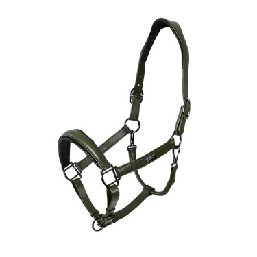 Licol en cuir Equestrian Stockholm anatomic scintillant Vallée frappante Vert