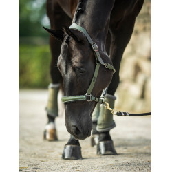 Licol en cuir Equestrian Stockholm anatomic scintillant Vallée frappante Vert