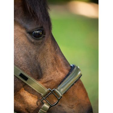 Licol en cuir Equestrian Stockholm anatomic scintillant Vallée frappante Vert