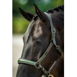 Licol en cuir Equestrian Stockholm anatomic scintillant Vallée frappante Vert