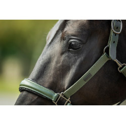 Licol en cuir Equestrian Stockholm anatomic scintillant Vallée frappante Vert