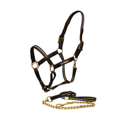 Licol et longe en cuir Equestrian Stockholm chain Nation suédoise Licol et longe en cuir Equestrian Stockholm chain Nation suédoise