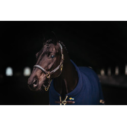 Licol et longe en cuir Equestrian Stockholm chain Nation suédoise