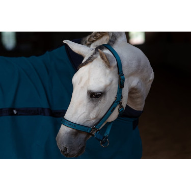 Licol et longe Equestrian Stockholm Licol et longe Equestrian Stockholm