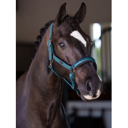 Licol en cuir Equestrian Stockholm anatomic scintillant Teal blue Bleu