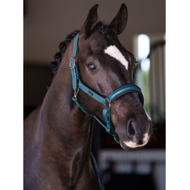 Licol en cuir Equestrian Stockholm anatomic scintillant Teal blue Bleu