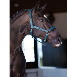 Licol en cuir Equestrian Stockholm anatomic scintillant Teal blue Bleu