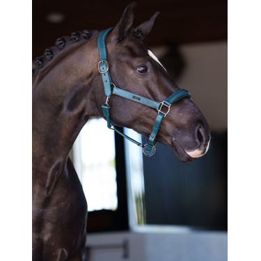 Licol en cuir Equestrian Stockholm anatomic scintillant Teal blue Bleu