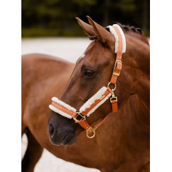 Licol et longe Equestrian Stockholm avec fourrure Bronze or
