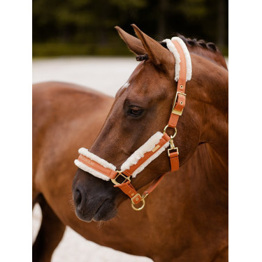 Licol et longe Equestrian Stockholm avec fourrure Bronze or