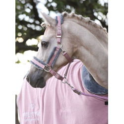 Licol et longe Equestrian Stockholm avec fourrure Rose