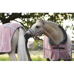 Licol et longe Equestrian Stockholm avec fourrure Rose