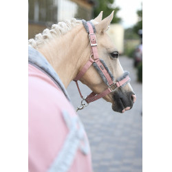 Licol et longe Equestrian Stockholm avec fourrure Rose