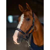 Licol et longe Equestrian Stockholm plat Marine modern tech Licol et longe Equestrian Stockholm plat Marine modern tech