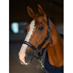 Licol et longe Equestrian Stockholm plat Marine modern tech