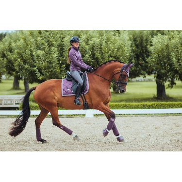 Pantalon d'équitation Equestrian Stockholm Elite femme Gris