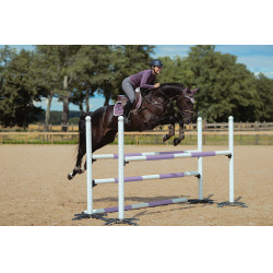 Pantalon d'équitation Equestrian Stockholm Elite femme Gris