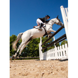 Protèges-boulets Equestrian Stockholm anatomic Protèges-boulets Equestrian Stockholm anatomic