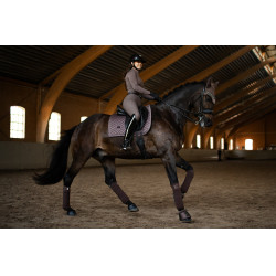 Tapis de dressage Equestrian Stockholm Amaranthe Tapis de dressage Equestrian Stockholm Amaranthe