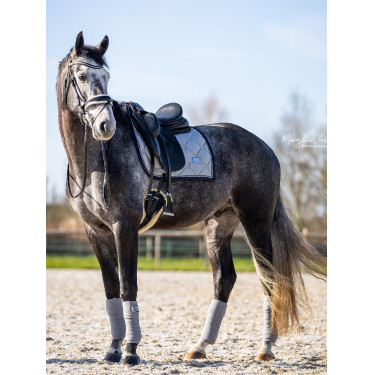 Tapis de dressage Equestrian Stockholm Gris cristal