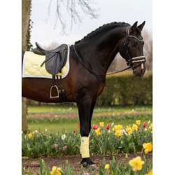 Tapis de dressage Equestrian Stockholm Citron doux Jaune