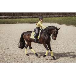 Tapis de dressage Equestrian Stockholm Citron doux Jaune