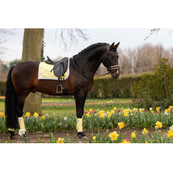 Tapis de dressage Equestrian Stockholm Citron doux Jaune