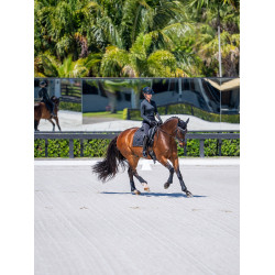 Tapis de dressage Equestrian Stockholm modern Noir Tapis de dressage Equestrian Stockholm modern Noir