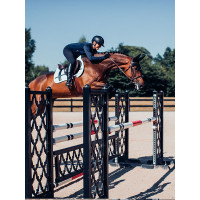 Tapis de selle Equestrian Stockholm jumping avec bandes Tapis de selle Equestrian Stockholm jumping avec bandes