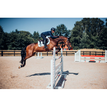 Tapis de selle Equestrian Stockholm jumping avec bandes Tapis de selle Equestrian Stockholm jumping avec bandes