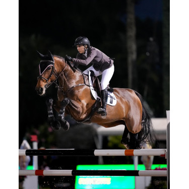 Tapis de selle Equestrian Stockholm jumping avec bandes Tapis de selle Equestrian Stockholm jumping avec bandes