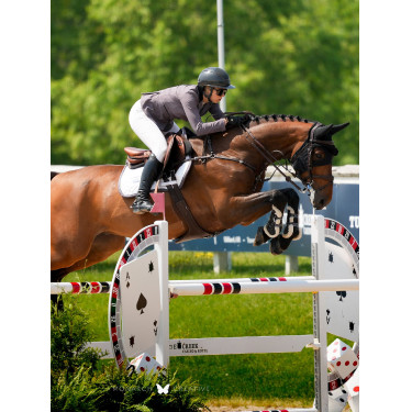 Tapis de selle Equestrian Stockholm jumping Modern Blanc violet sombre Tapis de selle Equestrian Stockholm jumping Modern Blanc violet sombre