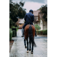 Veste bomber Equestrian Stockholm homme Marine Bleu marine Veste bomber Equestrian Stockholm homme Marine Bleu marine