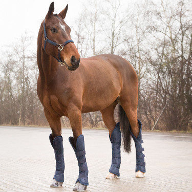 Protections de transport Spirit Shipping Horze Protections de transport Spirit Shipping Horze