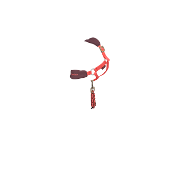 Licol vogue pour jouet Mini Poney LeMieux