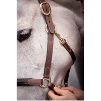 Licol cuir 3 mousquetons Paddock Sports Havane Marron