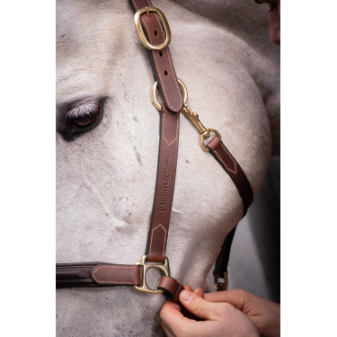 Licol cuir 3 mousquetons Paddock Sports Havane Marron
