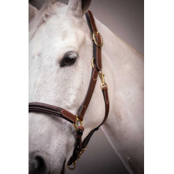 Licol cuir 3 mousquetons Paddock Sports Havane Marron