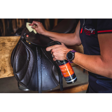 Pack soin des cuir Belvoir Duo Step 1+ Step 2 Carr & Day & Martin