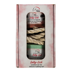 Pierre a sel aromatisée Lolly Lick lot de 2 HKM Églantier / pomme